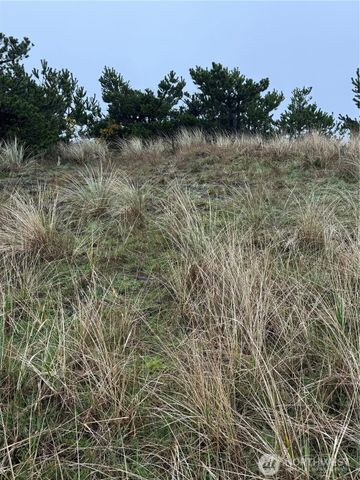 34806 I Street, Ocean Park, WA 98640