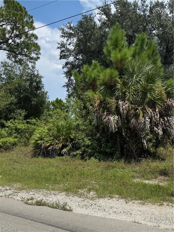 2508 51st ST W, LEHIGH ACRES, FL 33971 — photo 2
