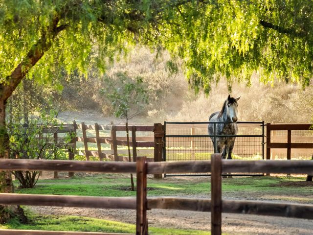 15336 Mesa Estates Ct, Ramona, CA 92065