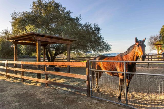 15336 Mesa Estates Ct, Ramona, CA 92065