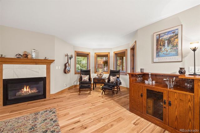 156 Shady Hollow, Nederland, CO 80466