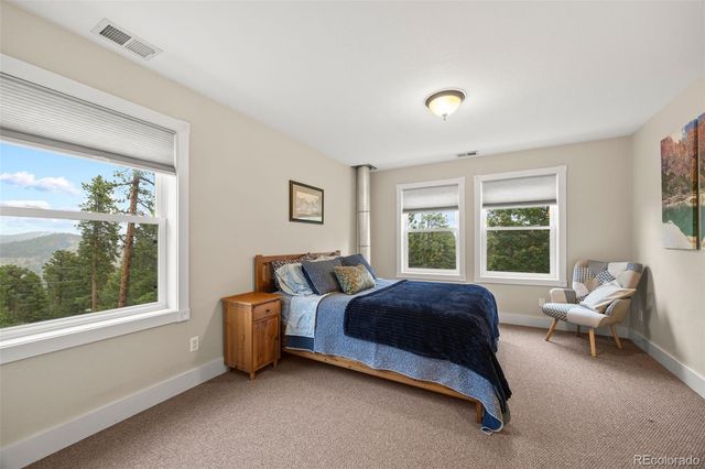 156 Shady Hollow, Nederland, CO 80466