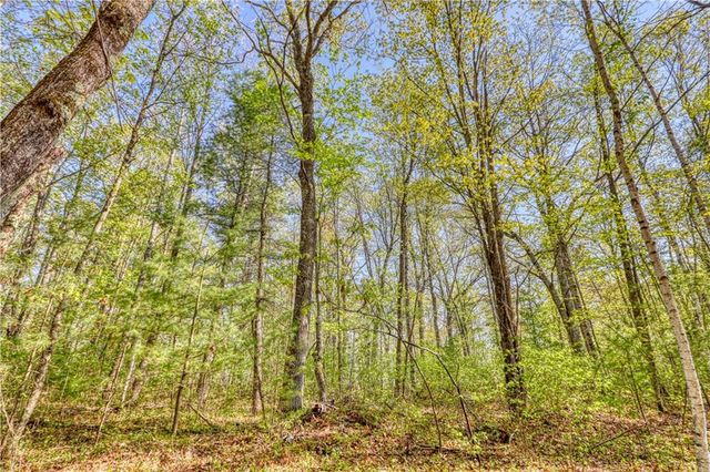 10148 McClaine Road, Hayward, WI 54843