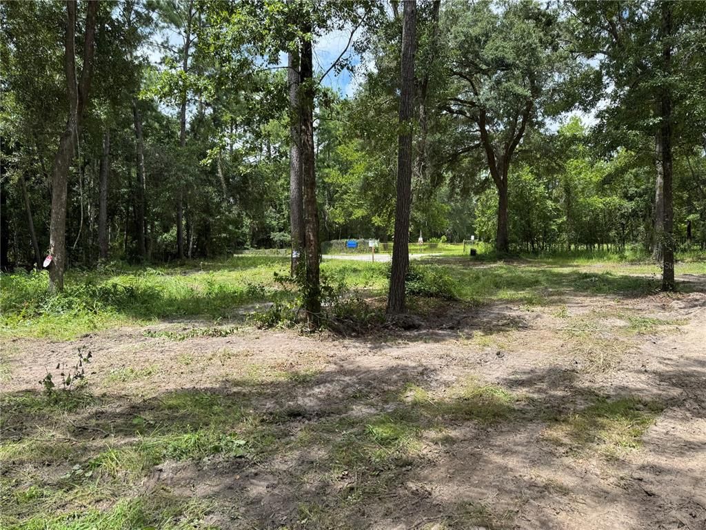 15183 NE 143RD TERRACE, Waldo, FL 32694