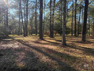 0 Venice Court, Mobile, AL 36605