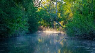 6125 FM 535, Cedar Creek, TX 78612