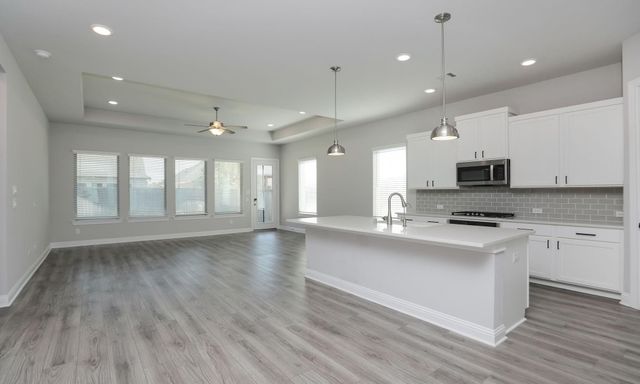 15106 Armadillo Lookout Trail, Cypress, TX 77433