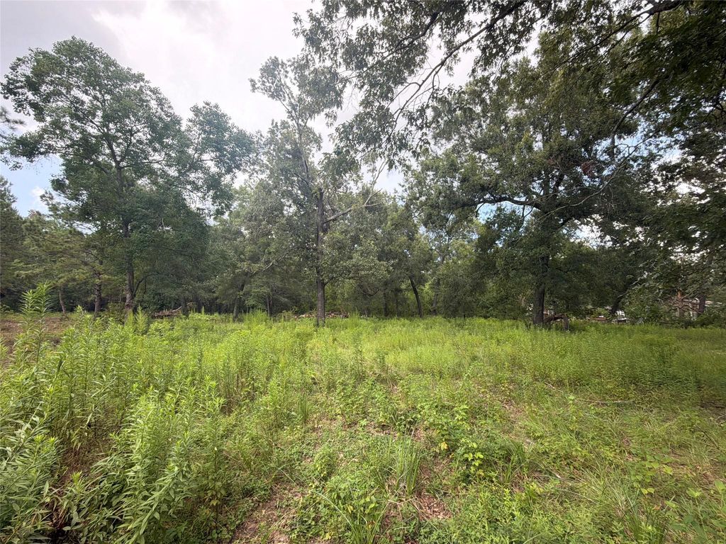 0 County Road 6502 W, Dayton, TX 77535
