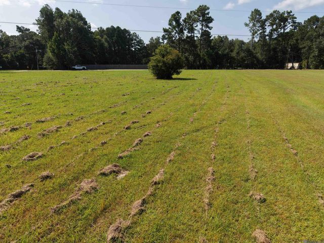 557 Carrier Rd, Pine Grove, LA 70453