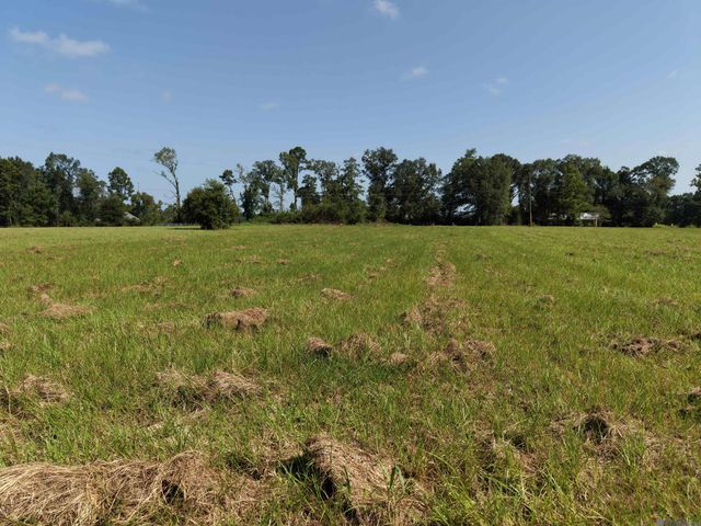 557 Carrier Rd, Pine Grove, LA 70453