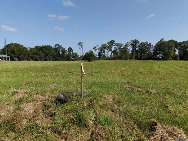 557 Carrier Rd, Pine Grove, LA 70453