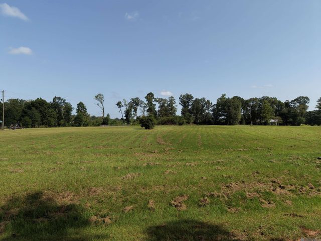 557 Carrier Rd, Pine Grove, LA 70453