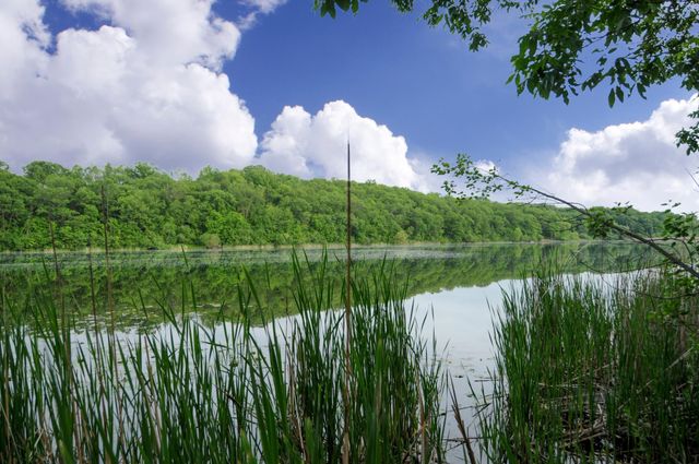 1465 Island Drive, Golden Valley, MN 55422