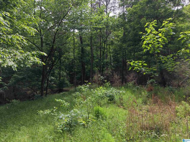 0 CHASE DRIVE, Pelham, AL 35124