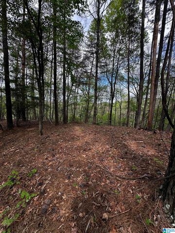 0 CHASE DRIVE, Pelham, AL 35124