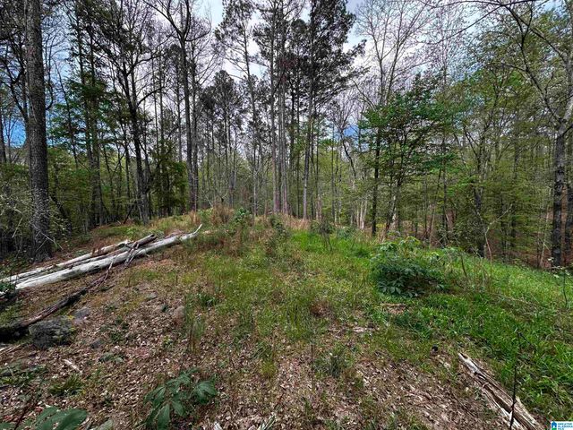 0 CHASE DRIVE, Pelham, AL 35124