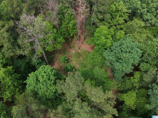 0 CHASE DRIVE, Pelham, AL 35124