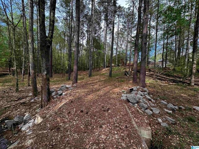 0 CHASE DRIVE, Pelham, AL 35124
