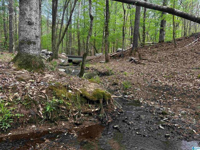 0 CHASE DRIVE, Pelham, AL 35124