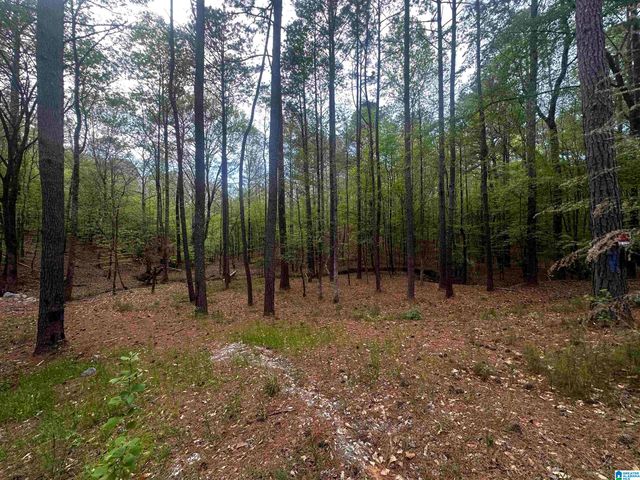 0 CHASE DRIVE, Pelham, AL 35124