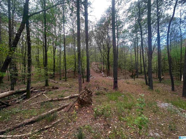 0 CHASE DRIVE, Pelham, AL 35124