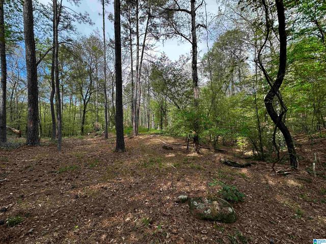 0 CHASE DRIVE, Pelham, AL 35124
