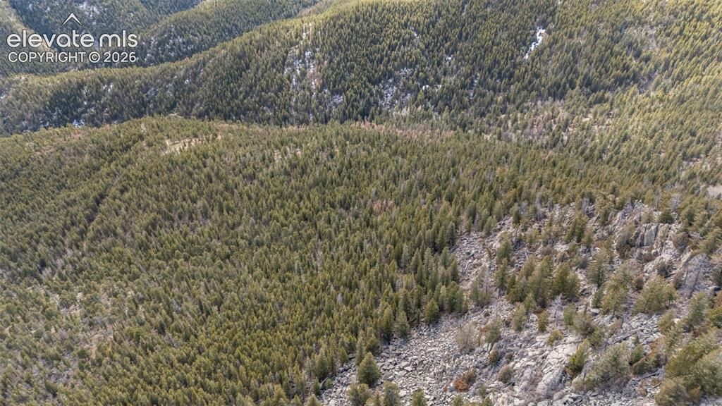 Alps Mountain Road, Idaho Springs, CO 80452 — photo 5