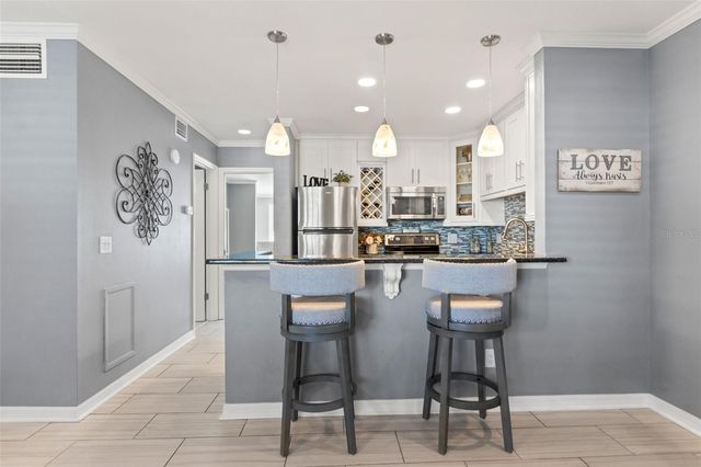 2295 MEXICAN WAY 41, Clearwater, FL 33763