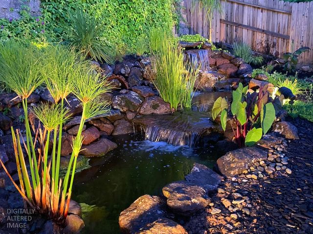 6556 Turnstone Way, Rocklin, CA 95765