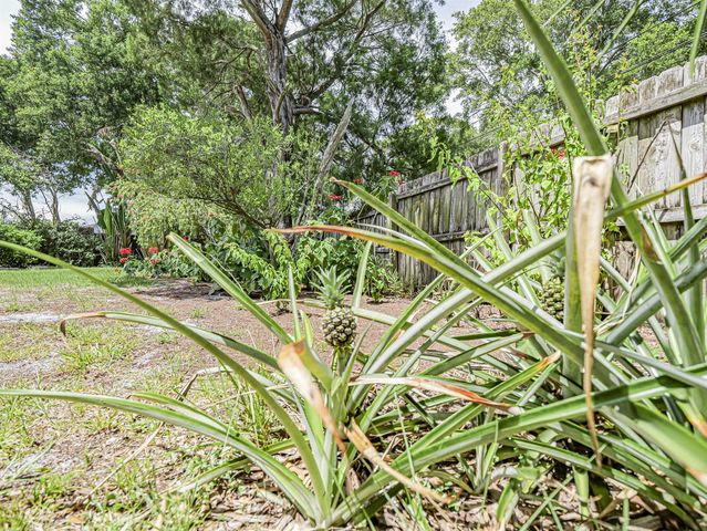 425 Banyan Street, Sebastian, FL 32958