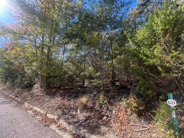 10 Bayshore Drive, Athens, TX 75752