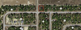 6816 N Sandborn Loop, Citrus Springs, FL 34433