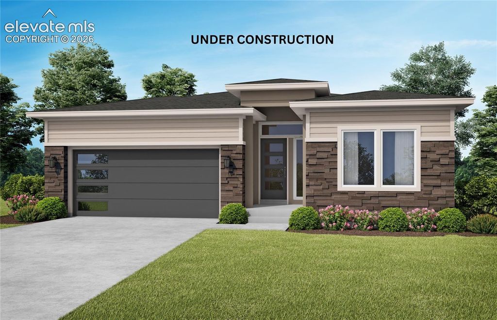 6782 Chelsea Thicket Court, Colorado Springs, CO 80924 — exterior