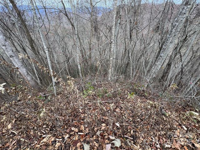 Lot 7 Deer Ridge Road, Bryson City, NC 28713