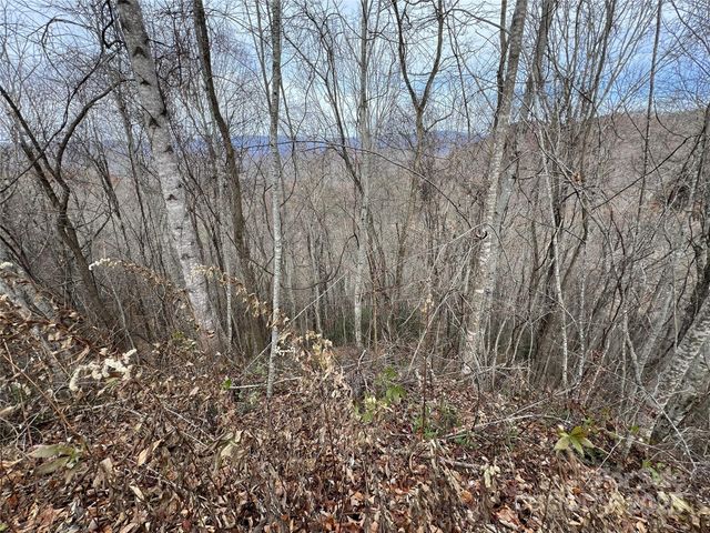 Lot 7 Deer Ridge Road, Bryson City, NC 28713