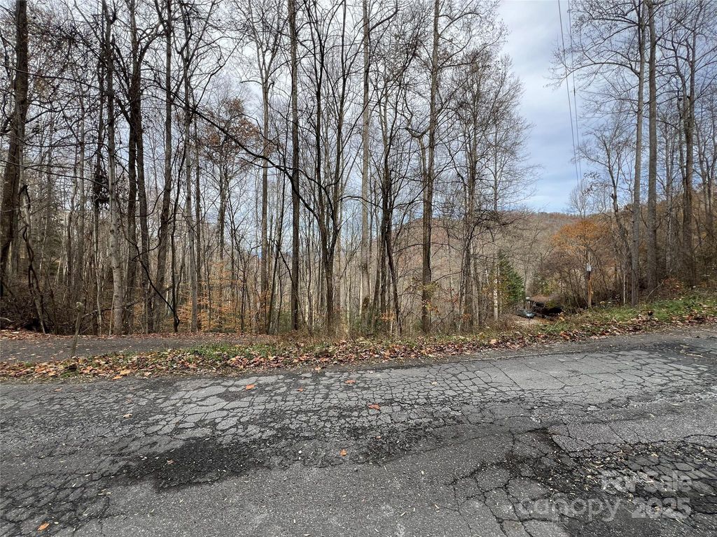 Lot 7 Deer Ridge Road, Bryson City, NC 28713