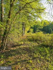 Lot 16 Tax Id 94A-2 B-16 JENNINGS DRIVE, Ruther Glen, VA 22546