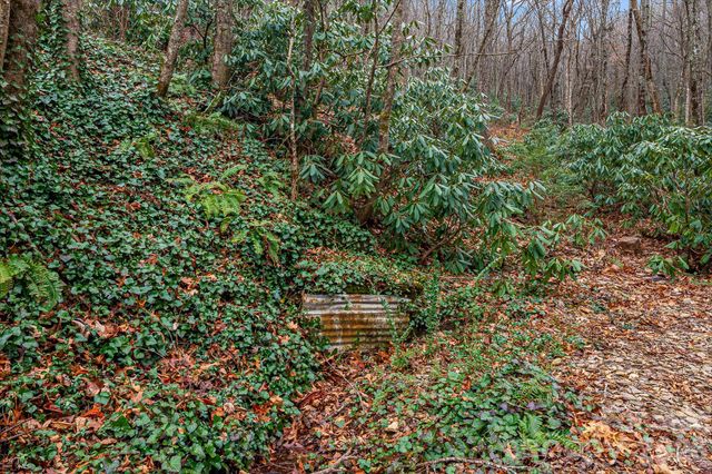 55 Heavenly Lane, Fairview, NC 28730