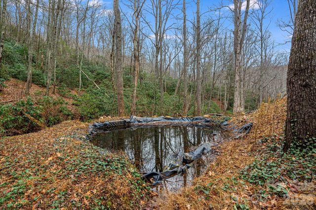 55 Heavenly Lane, Fairview, NC 28730