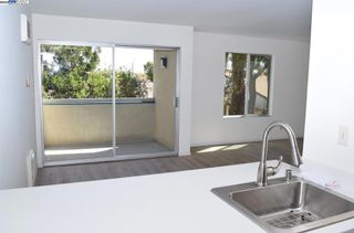 955 Shorepoint Ct 110, Alameda, CA 94501