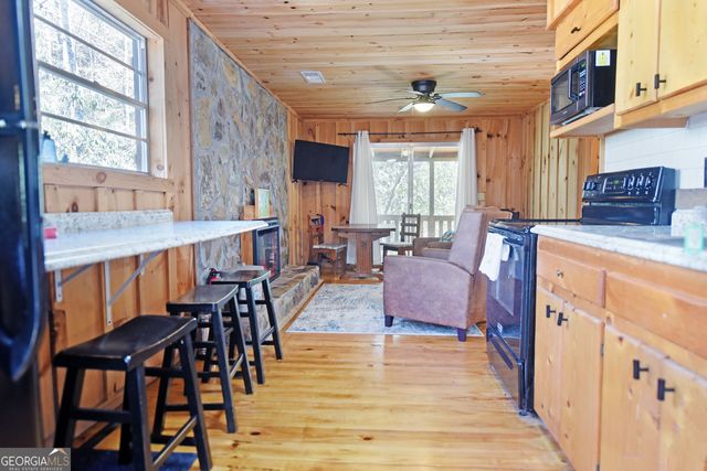 150 Donna Lee Lane, Mineral Bluff, GA 30559