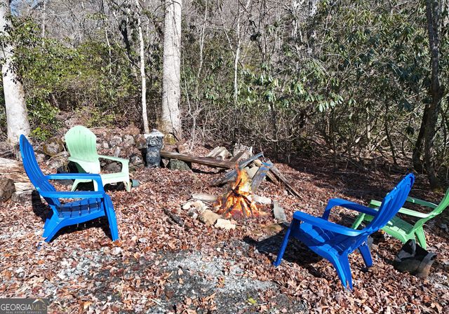 150 Donna Lee Lane, Mineral Bluff, GA 30559