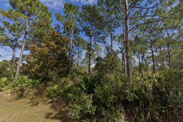 25 ULMACEAL PATH, Palm Coast, FL 32164