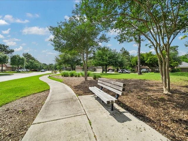 12802 Bridle Springs Lane, Houston, TX 77044