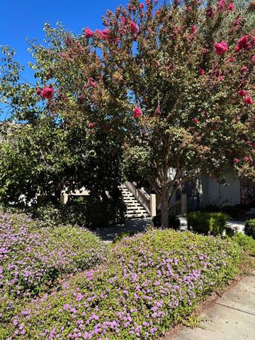 5109 Cribari Place, San Jose, CA 95135