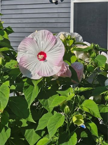 7 TAYLOR Road, Johnston, RI 02919