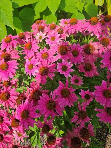 7 TAYLOR Road, Johnston, RI 02919