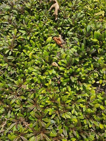 7 TAYLOR Road, Johnston, RI 02919