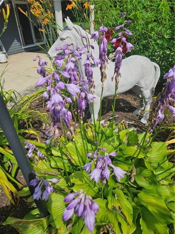 7 TAYLOR Road, Johnston, RI 02919