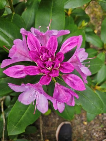 7 TAYLOR Road, Johnston, RI 02919